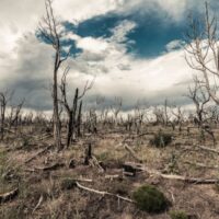 F.AON-costes--768x512