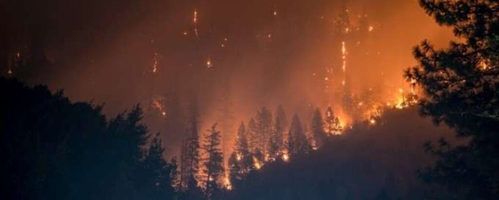 incendio-forestal